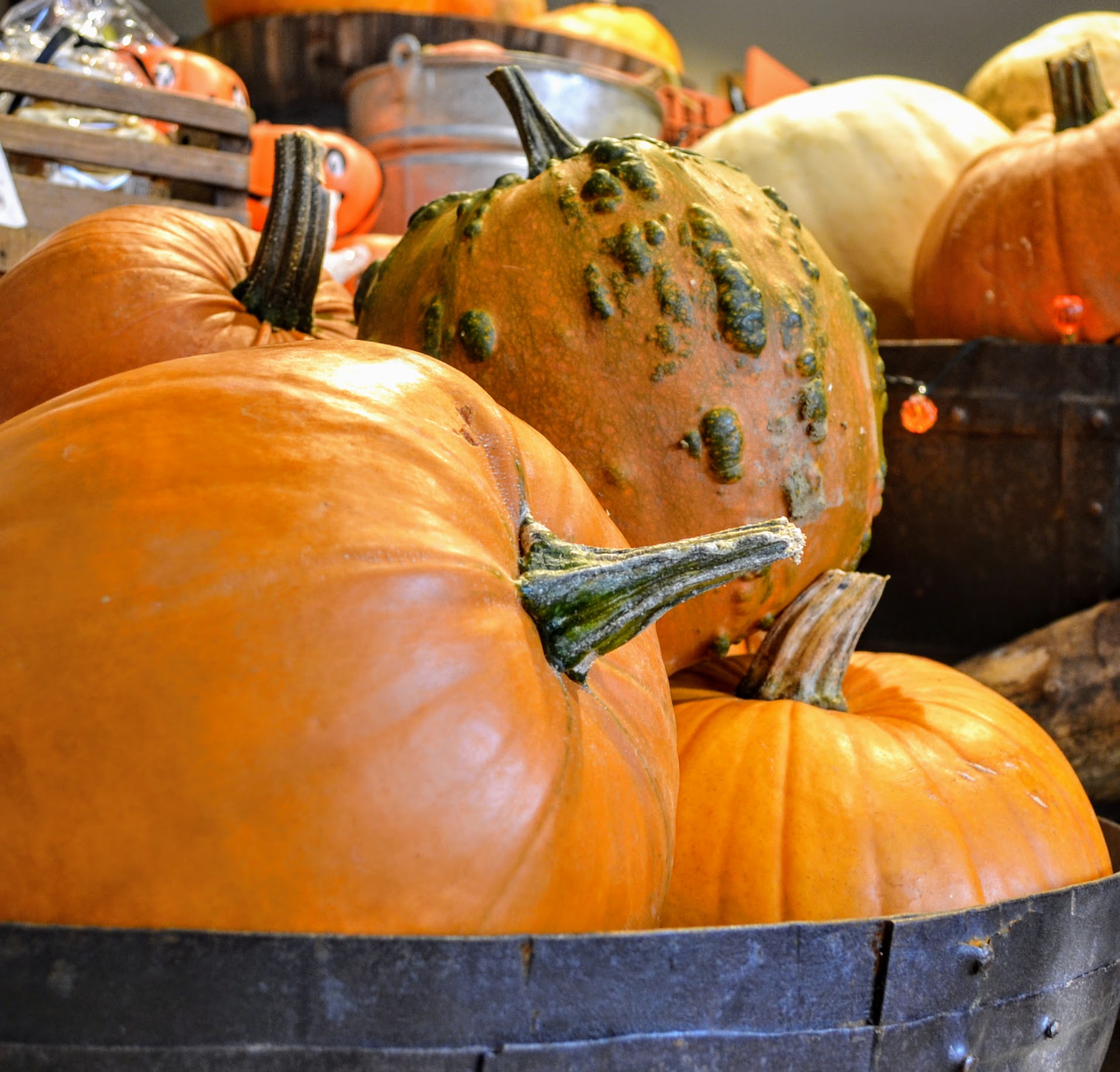 Pumpkins